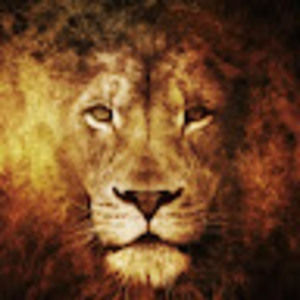 Meet your Posher, Steve